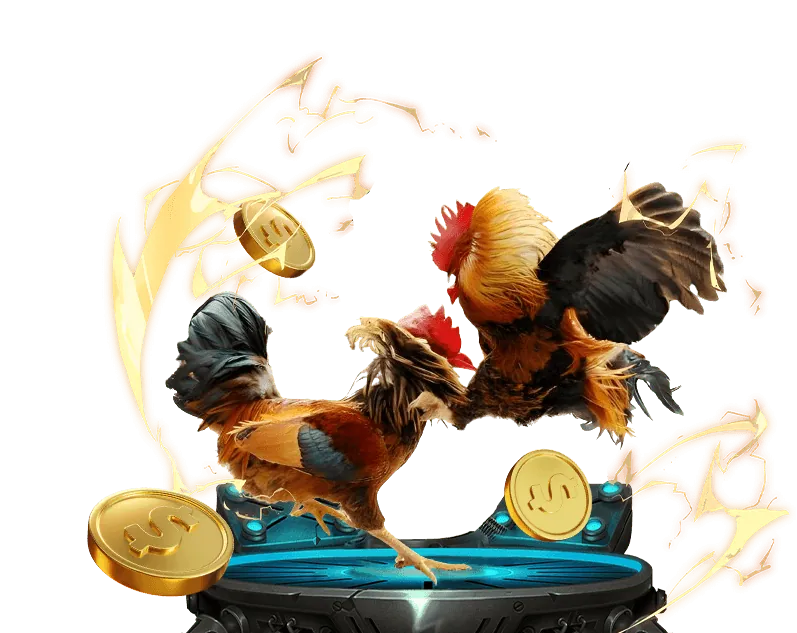 Hướng dẫn đá gà 789bet cho người mới bắt đầu